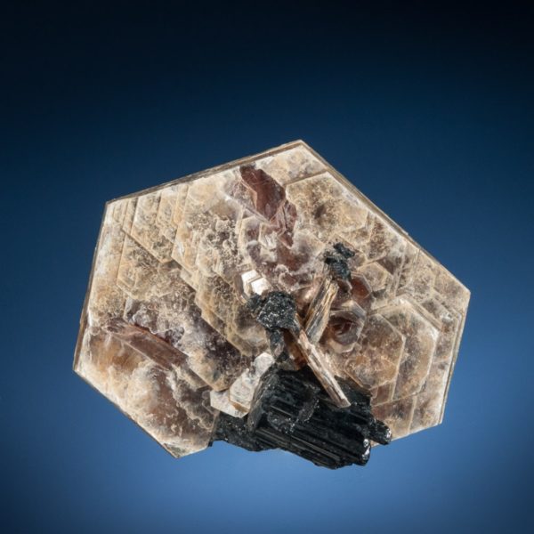 Muscovite Mica, Schorl Tourmaline